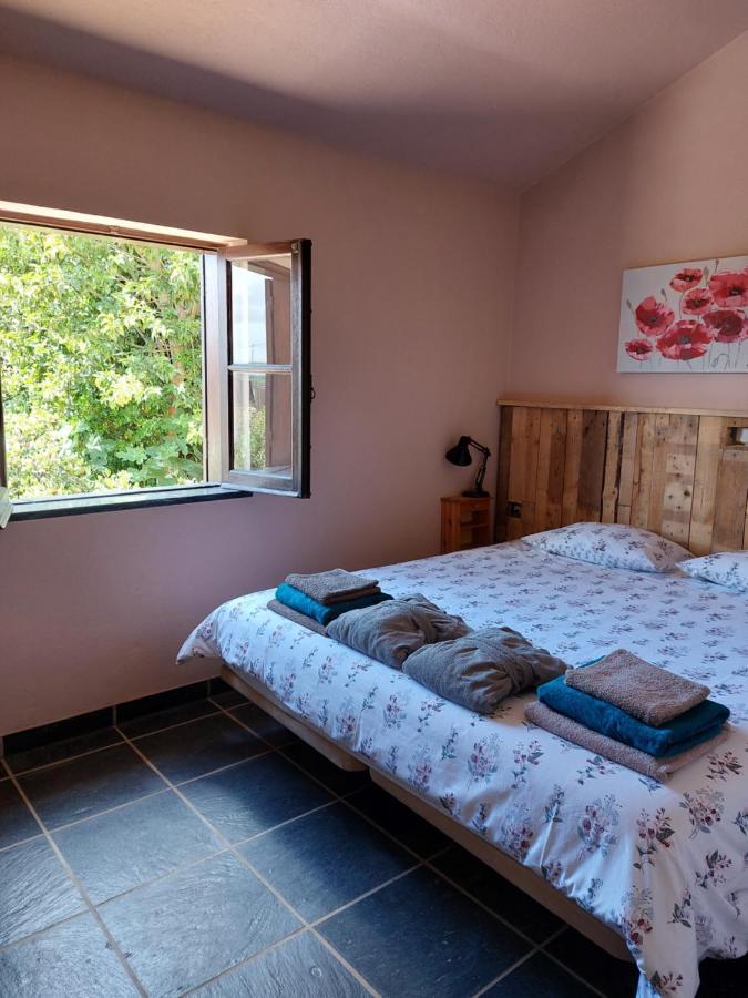 Quinta Cunte - Casa Girassol Hébergement de vacances