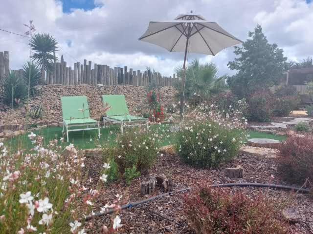 Hébergement de vacances Quinta Cunte - Casa Girassol São Luis