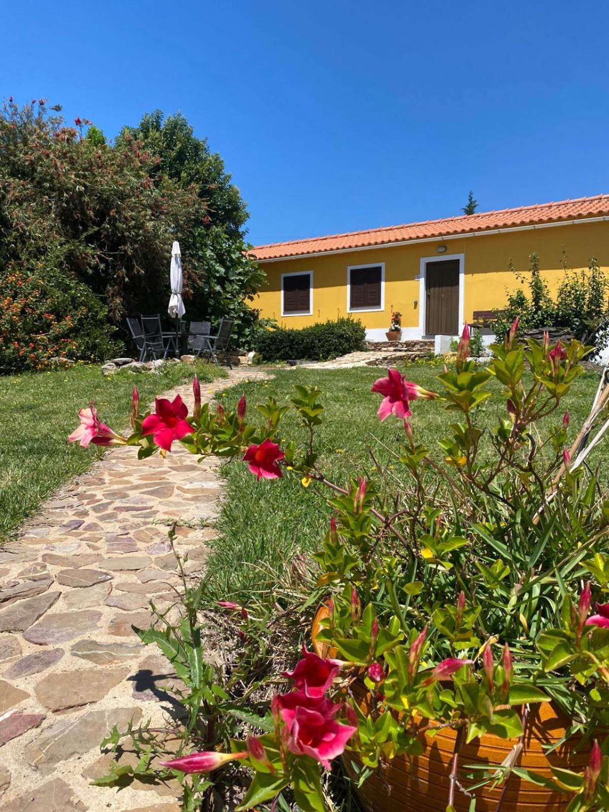 Hébergement de vacances Quinta Cunte - Casa Girassol São Luis