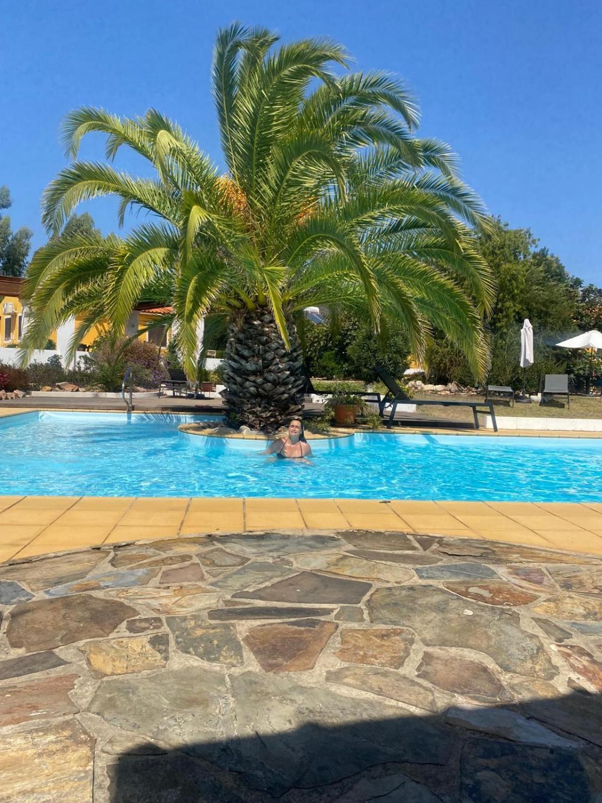 Quinta Cunte - Casa Girassol Hébergement de vacances *